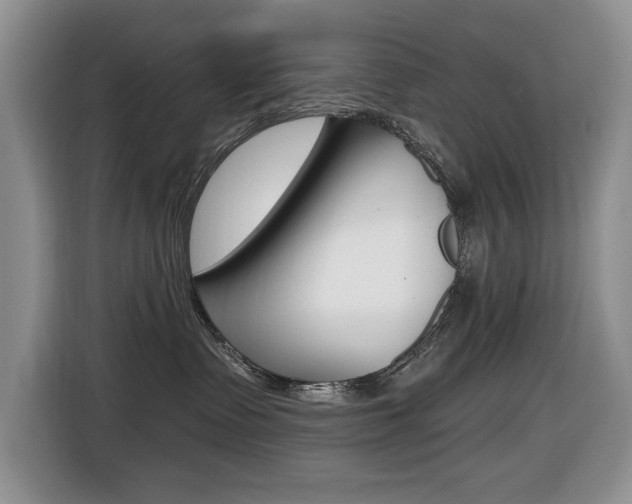 X0000116450335200912081419