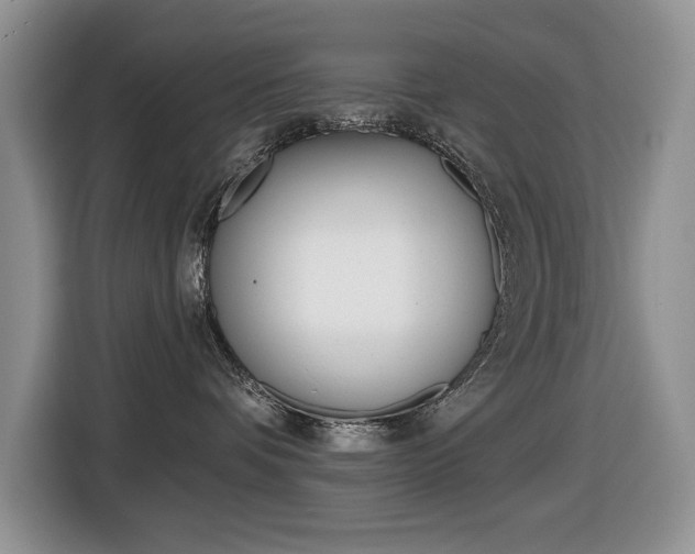X0000116450336200912081419