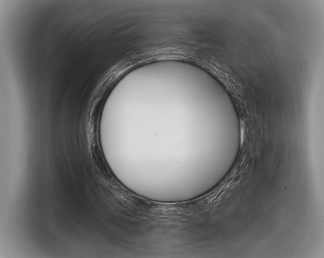 X0000116450339200912081418