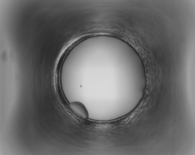 X0000116450342200912081418