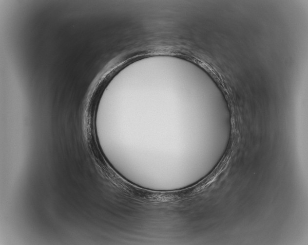 X0000116450343200912081418