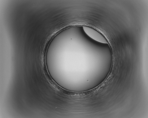X0000116450345200912081418