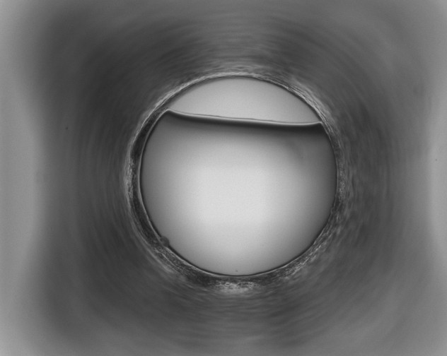 X0000116450346200912081418