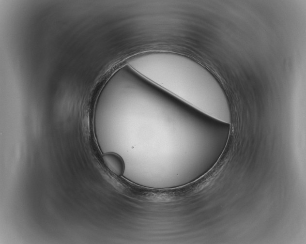 X0000116450349200912081418