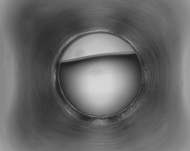 X0000116450350200912081418