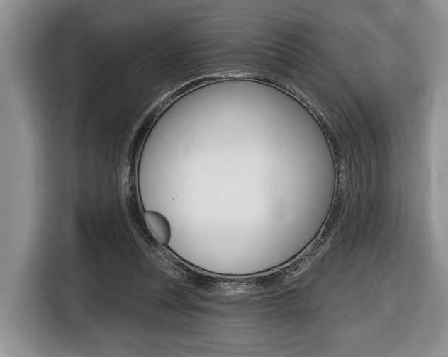 X0000116450351200912081418