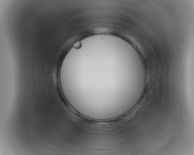 X0000116450353200912081418