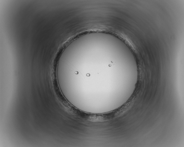 X0000116450354200912081418