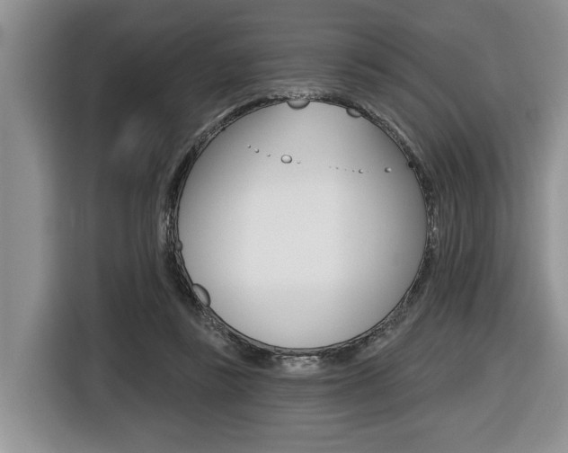 X0000116450355200912081418