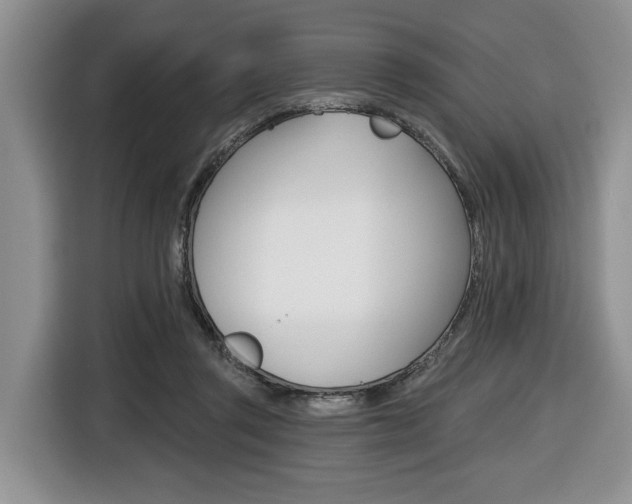X0000116450357200912081419