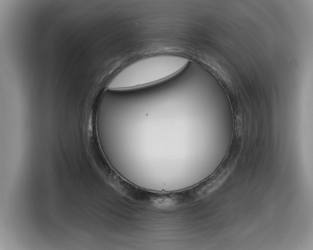 X0000116450358200912081419