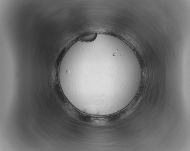 X0000116450359200912081419