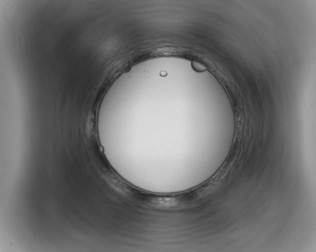 X0000116450361200912081419