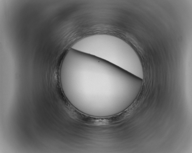 X0000116450363200912081419