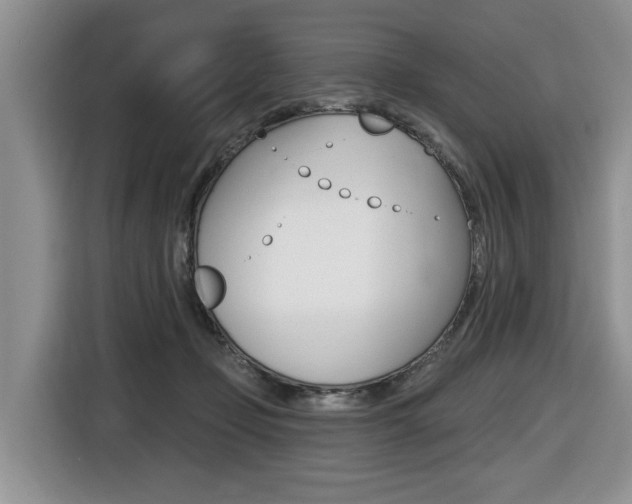 X0000116450365200912081419