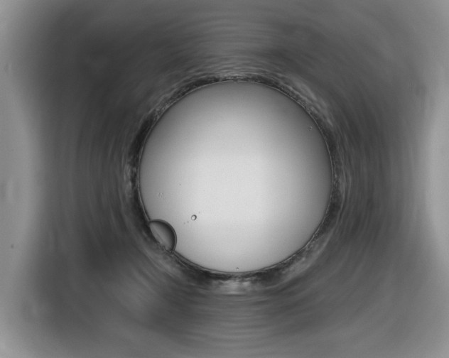 X0000116450366200912081419