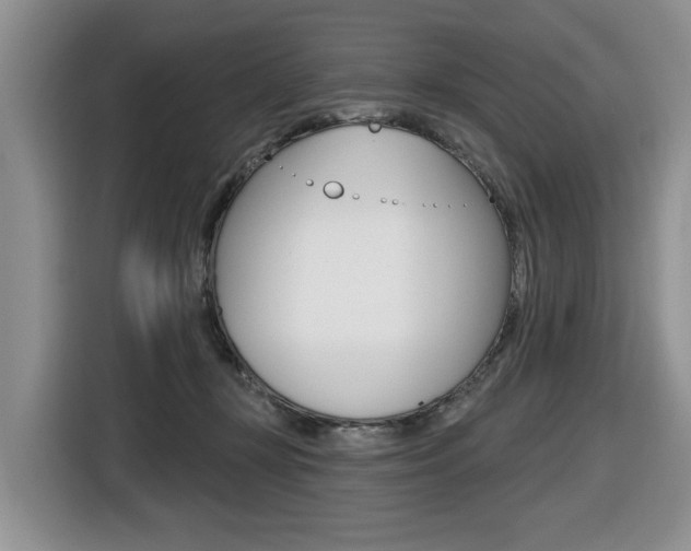 X0000116450367200912081419