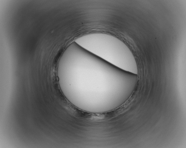X0000116450369200912081419