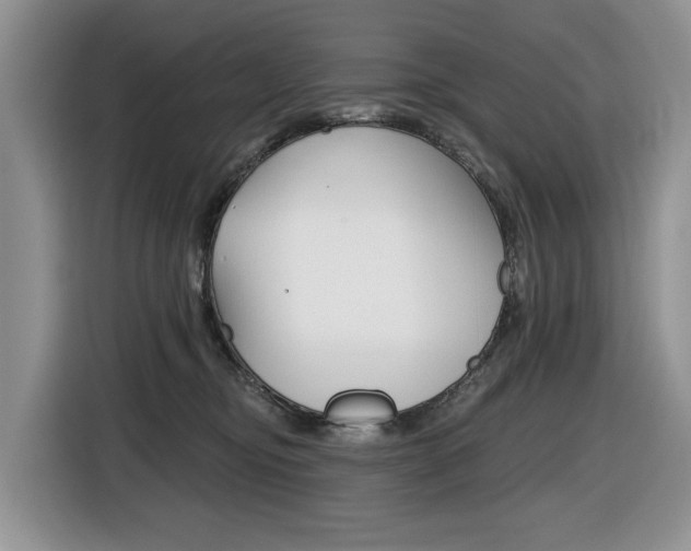 X0000116450374200912081419