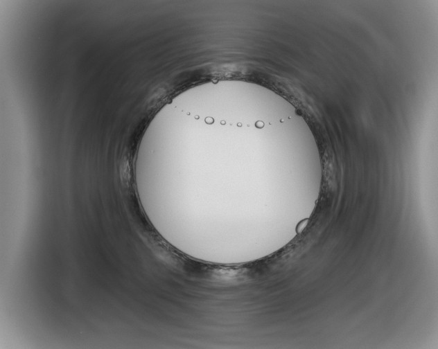 X0000116450375200912081419