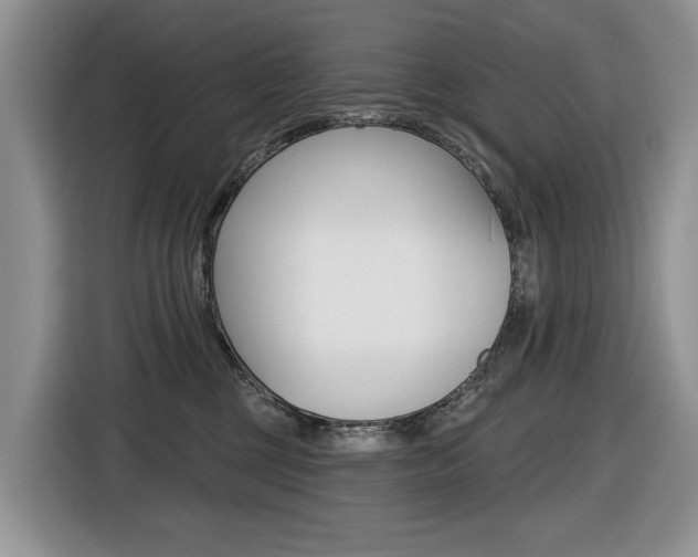 X0000116450377200912081419