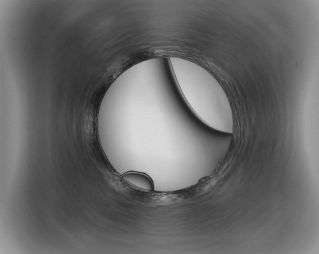 X0000116450379200912081419