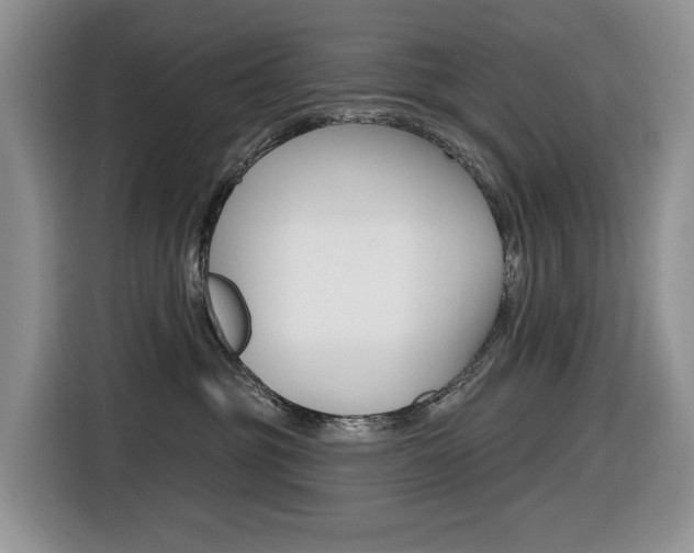 X0000116450381200912081419