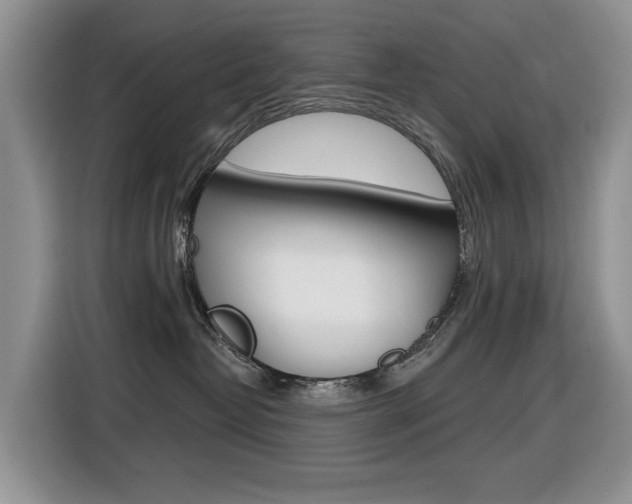 X0000116450382200912081419