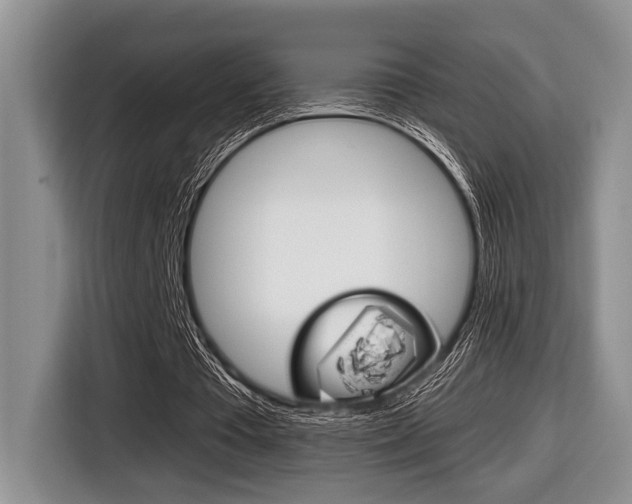 X0000116450385200912081418