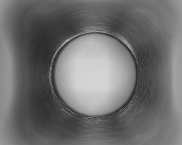 X0000116450387200912081418