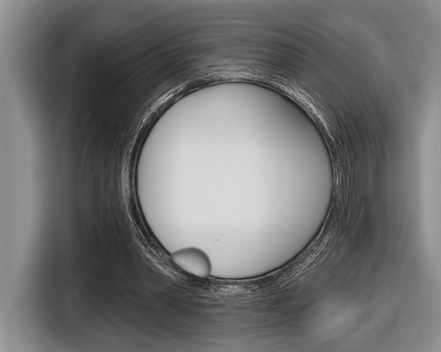 X0000116450390200912081418