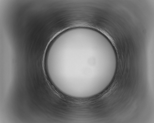 X0000116450391200912081418