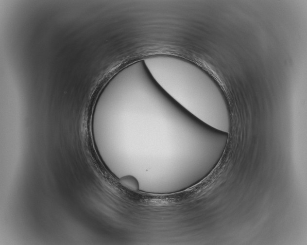 X0000116450394200912081418