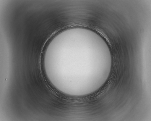 X0000116450395200912081418