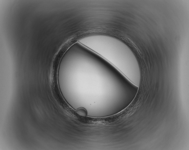 X0000116450396200912081418
