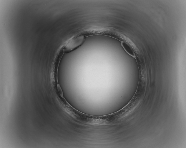 X0000116450399200912081418