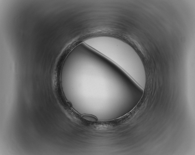 X0000116450400200912081418