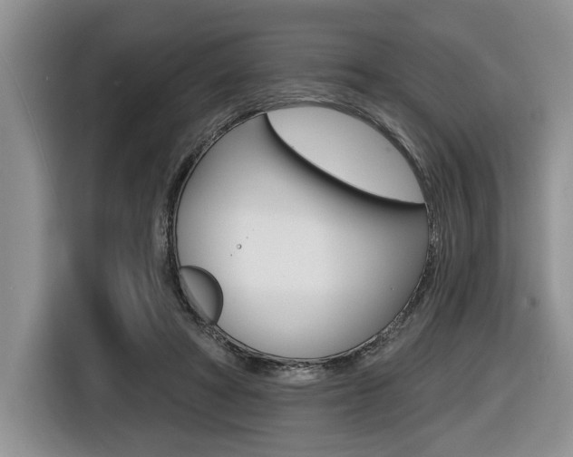 X0000116450402200912081418
