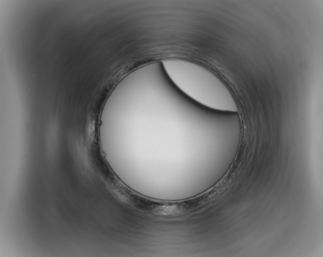 X0000116450406200912081418