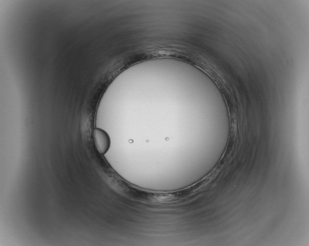 X0000116450410200912081418