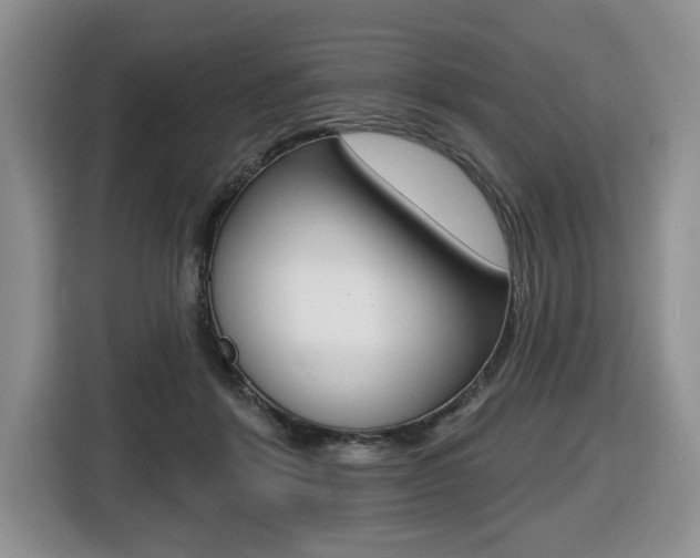X0000116450412200912081418