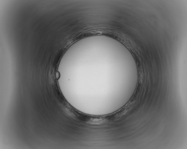 X0000116450414200912081418