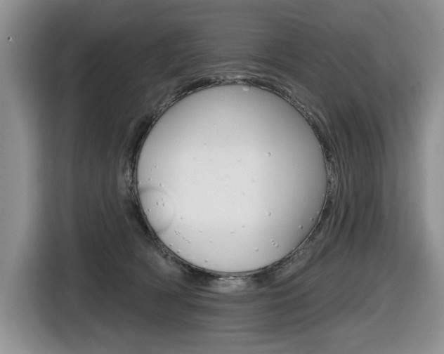 X0000116450418200912081418
