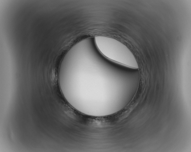 X0000116450420200912081418