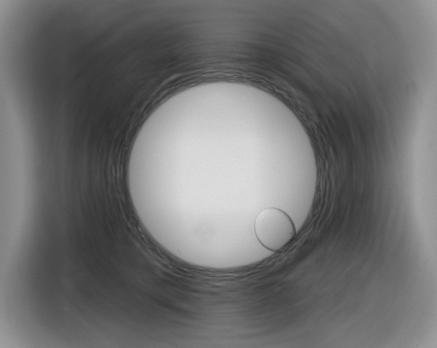 X0000116450421200912081418