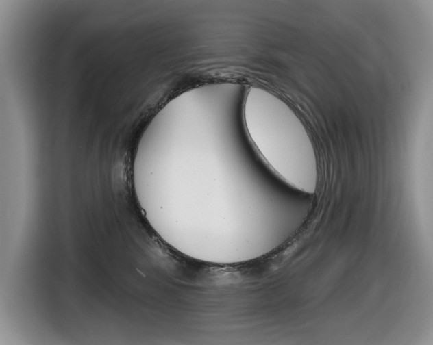 X0000116450424200912081418