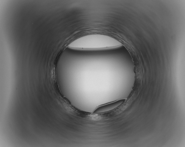 X0000116450425200912081418