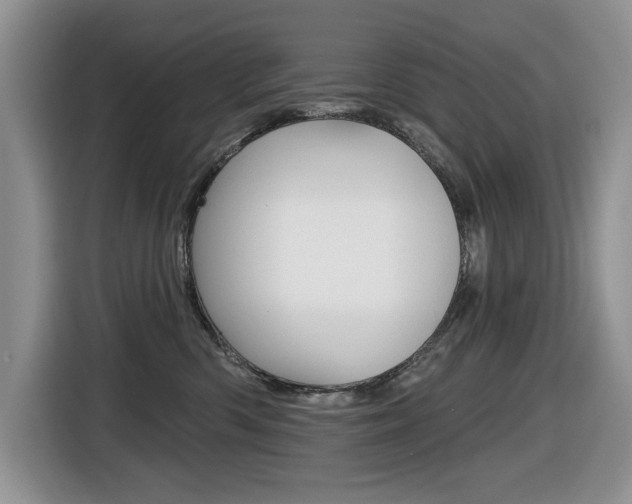 X0000116450426200912081418