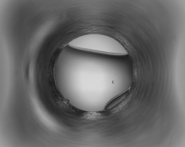 X0000116450429200912081418