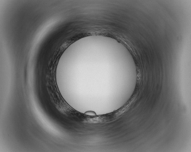 X0000116450430200912081418